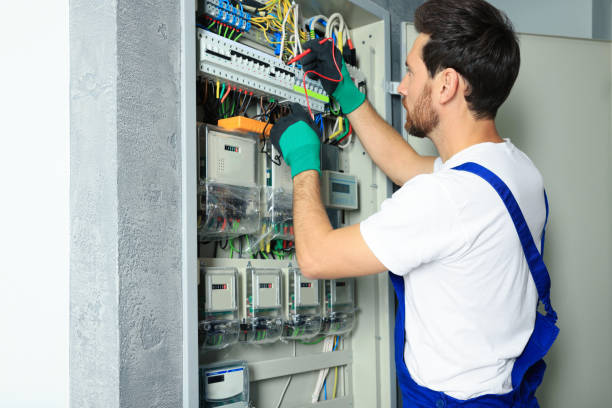 Best Electrician for Home Renovation  in Frewsburg, NY