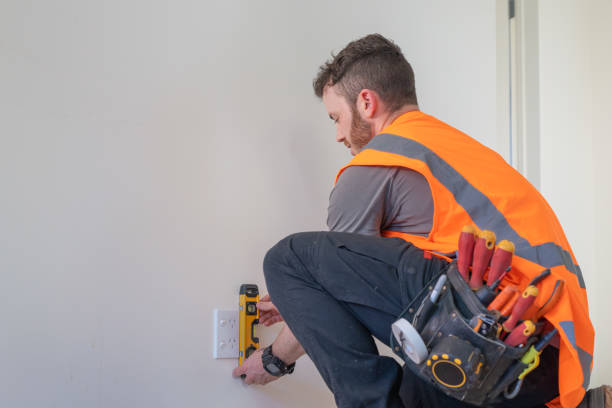 Best Local Electrician Companies  in Frewsburg, NY